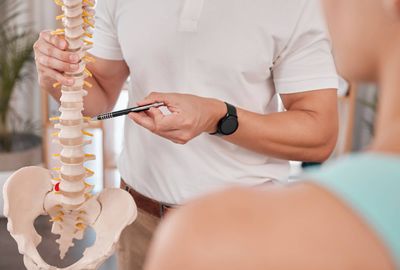 spine-model-healthcare-and-chiropractor-with-woma-2023-11-27-05-07-51-utc.jpg
